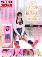 【VR】【8K】人間がドールに?!注文したら委員長は突如消えて、箱入りドールとして家に届いた 雅子りな