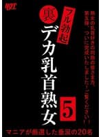 裏フル勃起デカ乳首熟女5 マニアが厳選した垂涎の20名