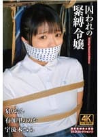 囚われの緊縛令嬢 DIDコレクション3