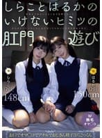 しらことはるかのいけないヒミツの肛門遊び 肛則を守れないひよこ女子を呼び出して幼気な6つ穴におじさん達が寄ってたかって肉棒を挿れてみた。 池内遥 しらこ