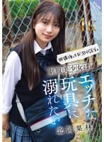 放課後はお泊りSEX。制服美少女はエッチな玩具に溺れたい 北岡果林