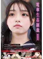 電車生姦制裁 #005