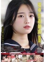 電車生姦制裁 #008