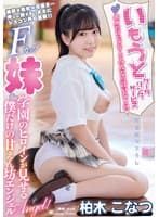 いもうとケータリングサービス ボクだけじゃなくてみんなの言いなり?!学園のヒロインが見せる僕だけの甘えん坊エンジェル 柏木こなつ