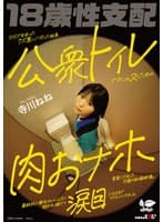 SNSで出会ったクズ男にハマった結果、公衆トイレでさくっとヌくための肉おナホ要員にされた18歳の記録映像。最終的に都合のいいように扱われ続けて涙目になるまでマワしつくされる。 寺川ねね