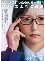 新卒で入った会社の研修がしんどくて息抜きにピンサロ行ったらめちゃ怖いOJT女上司と遭遇「副業バラされたくなければ…」とカマかけたら見事本番OK 以来会社でも自宅でも生ハメしまくり最高にハッピー 青空ひかり