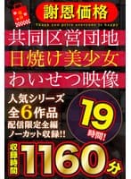 【福袋】【謝恩価格】共同区営団地 日焼け少女わいせつ映像 19時間!