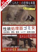 【AIリマスター版】性欲処理器ゴミ女